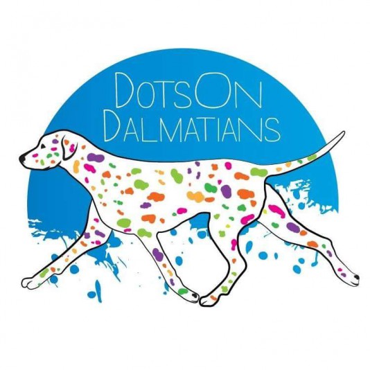 Élevage DotsOn Dalmatien