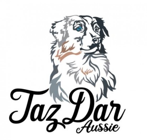 Élevage Berger Australien TazDar Aussie