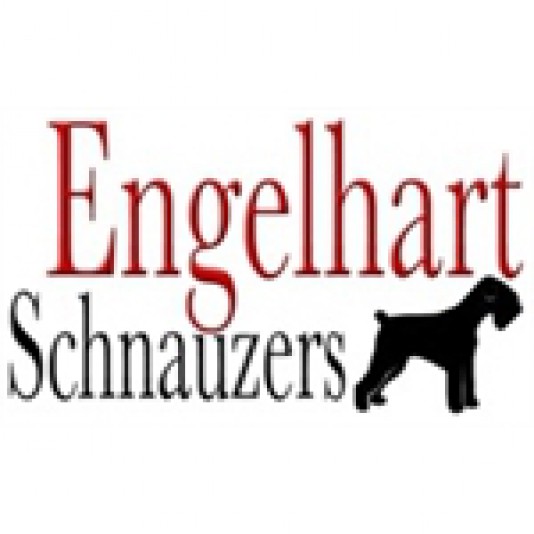 Engelhart Schnauzer Breeder