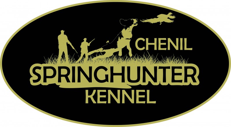 Chenil Springhunter Breeder