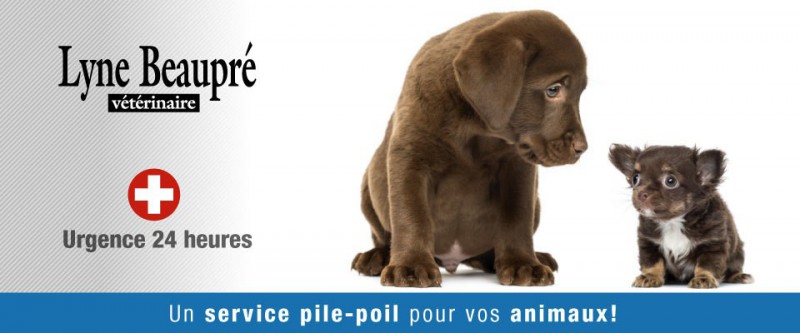 Clinique Vétérinaire Beaupré