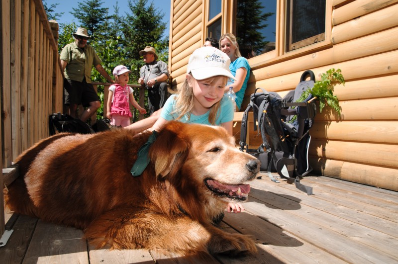 Chalets-Camping au Parc des Appalaches