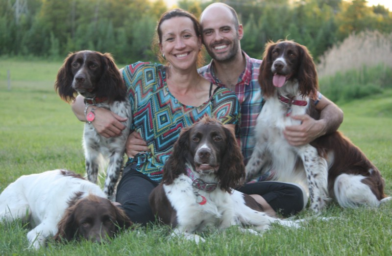 French Spaniel de L'Archer'O Breeder