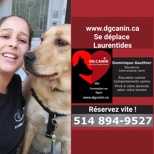 DG canin  -animal behaviorist consultants