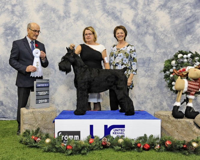 Giant Schnauzer SELECTIONDOR Breeder