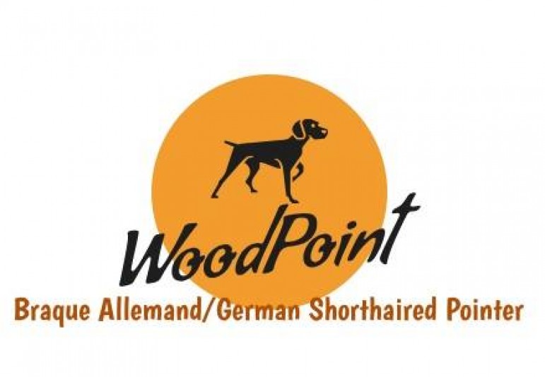 WoodPoint Kennel, German Shorthaired Pointer Breeder