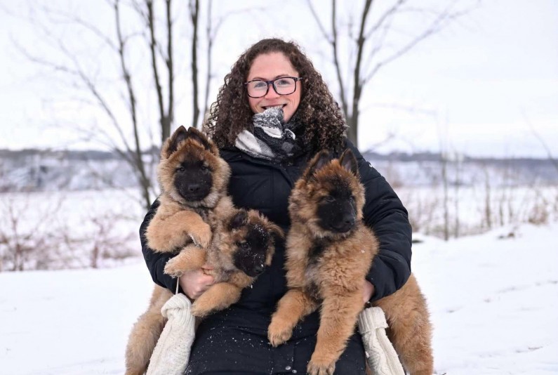 Molita (Berger Belge) Breeder