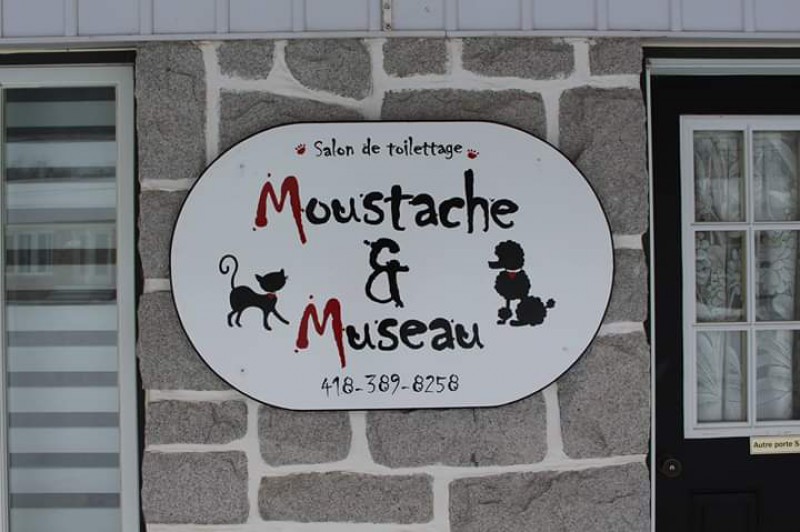 Salon de toilettage Moustache et Museau