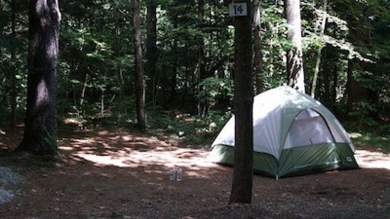 Camping Canne de Bois