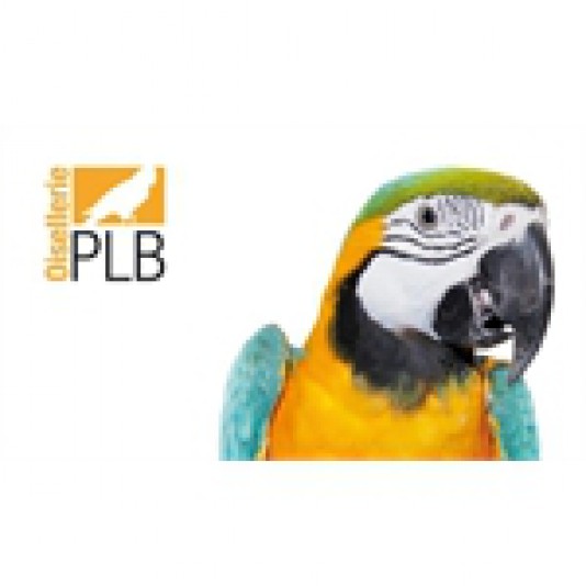 Oisellerie PLB Parrot Bird house