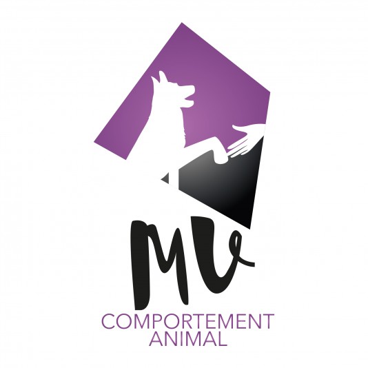 MV Éducation et comportement canin - Training & animal behaviorist consultants