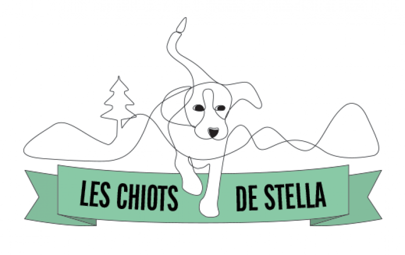 Élevage Les chiots de Stella- .