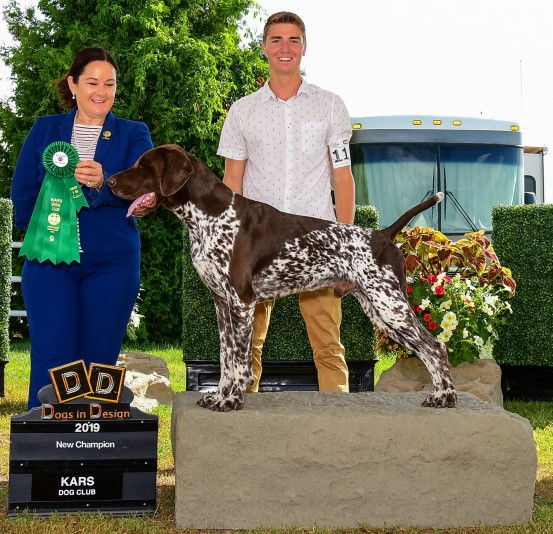 Kennel De Dancas- German Shorthaired Pointer Breeder