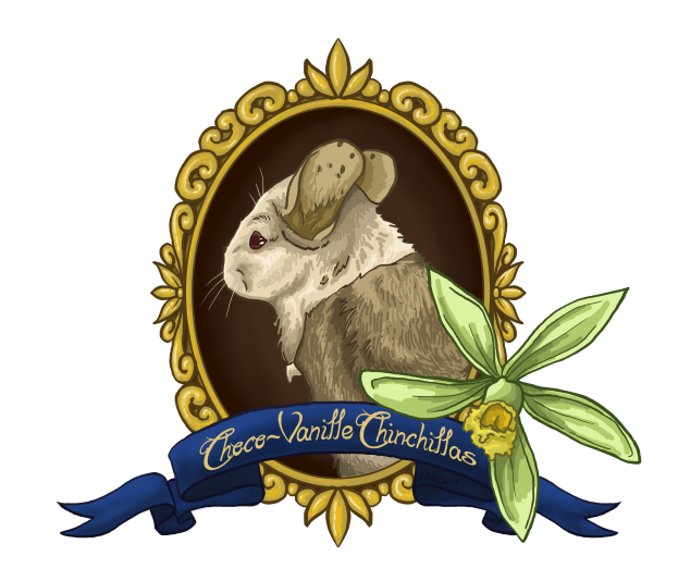 Élevage Choco-Vanille Chinchillas