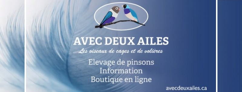 Avec deux ailes