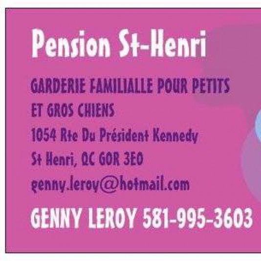 Pension de chiens St Henri