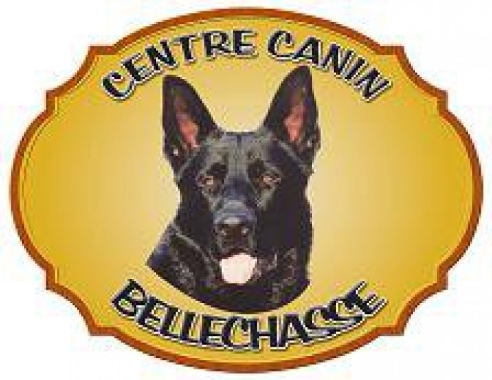 Pension canine Bellechasse
