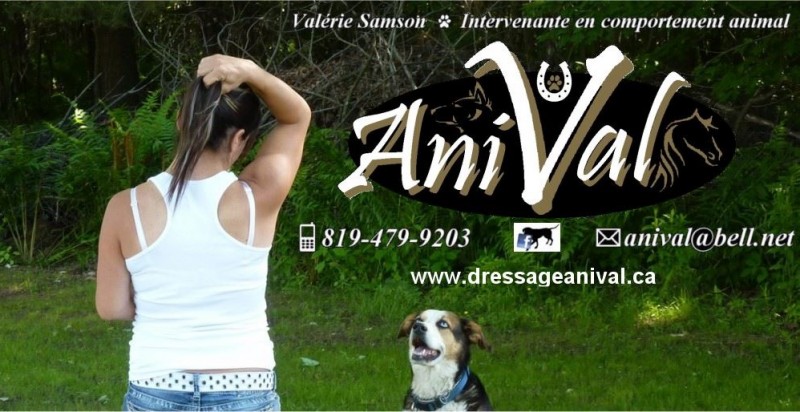 AniVal Éducation canine - Training & animal behaviorist consultants