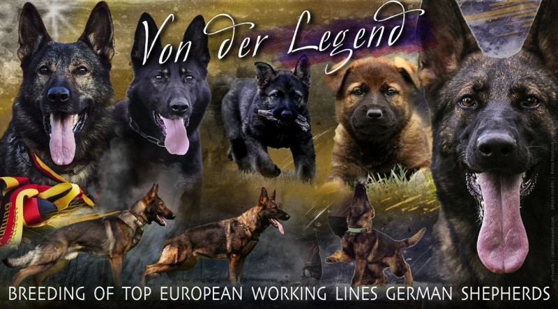 Von der Legend Breeder