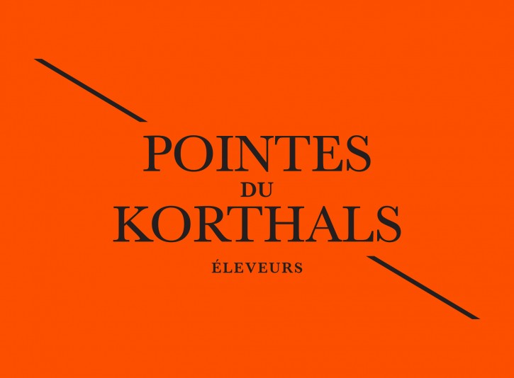 Élevage Pointes du Korthals