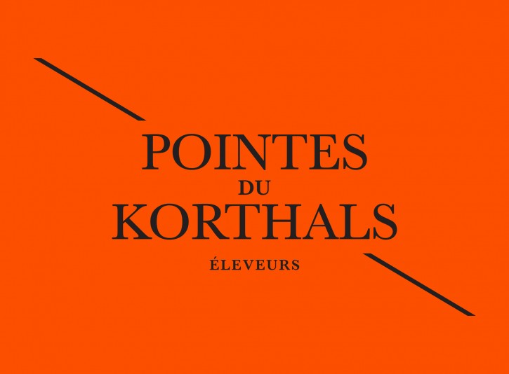 Pointes du Korthals Breeder