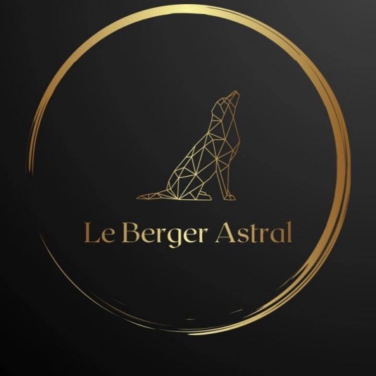 Élevage Le Berger Astral- Berger Australien