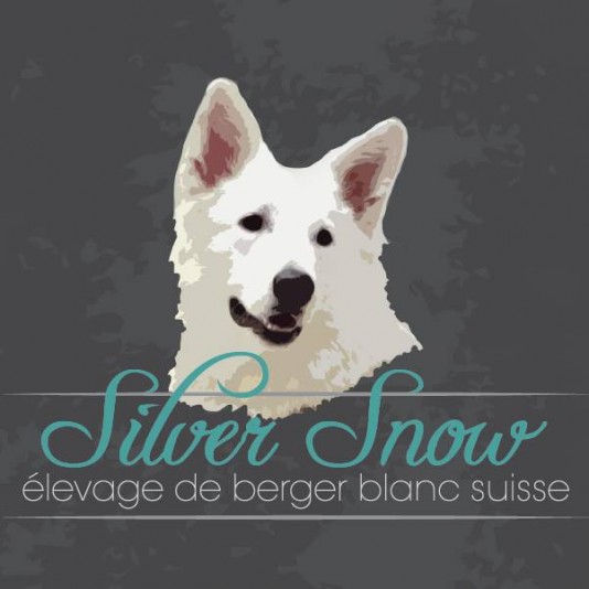 SilverSnow - White Swiss Shepherd Breeder