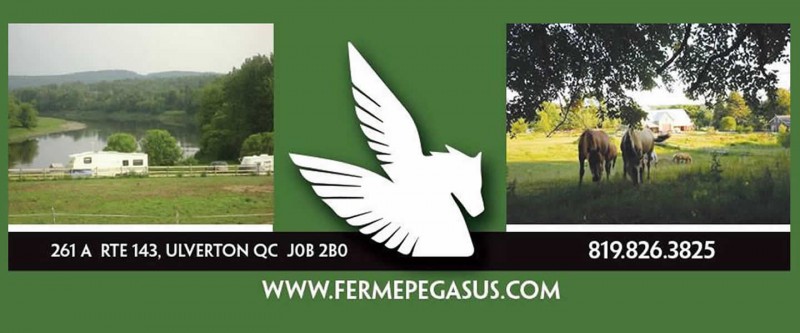 Camping Ferme Pégasus