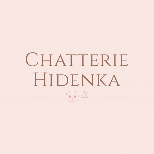 Chatterie Hidenka - Exotique à poil court