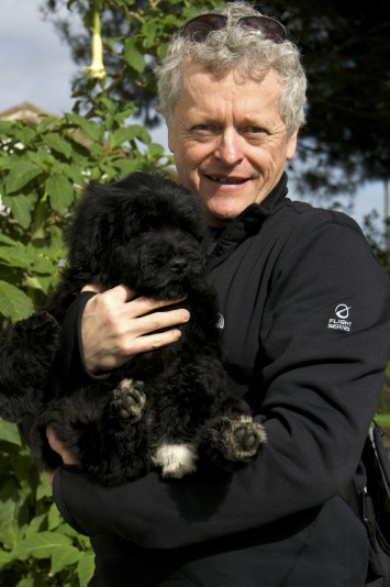 Portuguese water dog Inga  Breeder