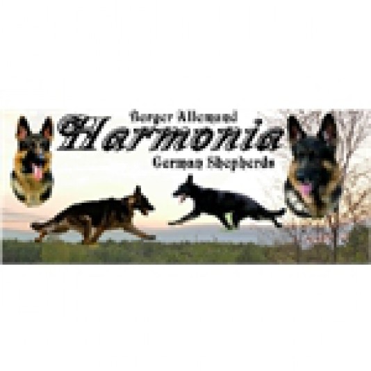 German Shepherd Harmonia Breeder